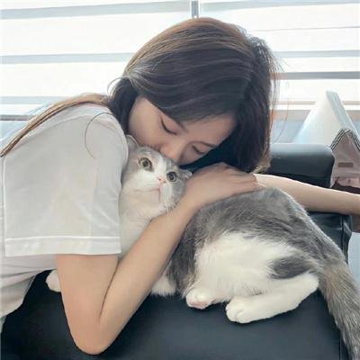 羊城暗哨
